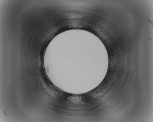X0000096460639200802211127