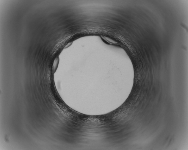 X0000096460640200802211127
