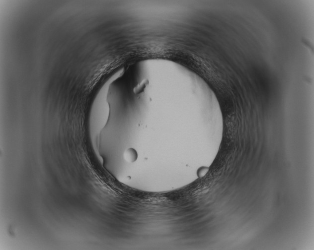 X0000096460642200802211127