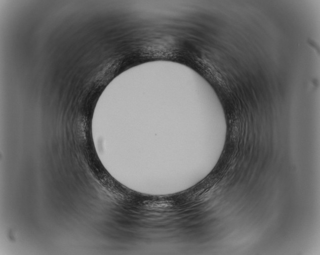 X0000096460643200802211127