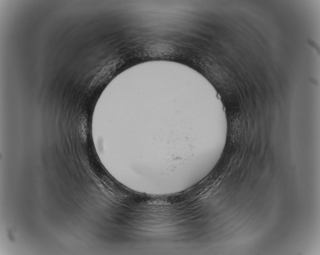 X0000096460644200802211127