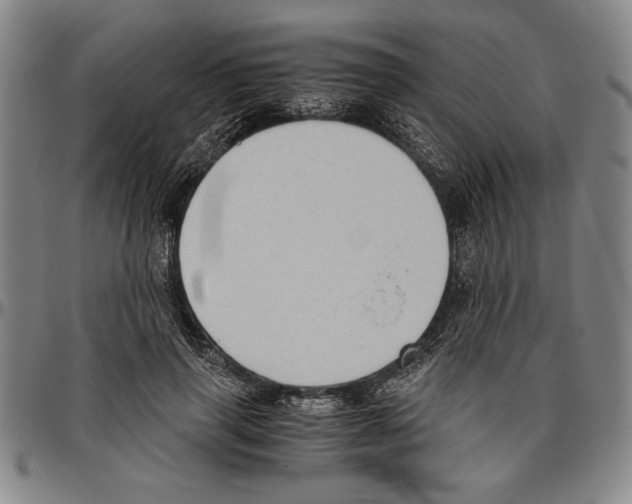 X0000096460645200802211127