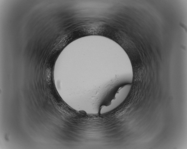 X0000096460646200802211127