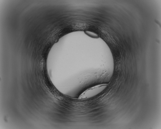 X0000096460647200802211127