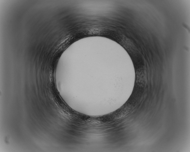 X0000096460648200802211127