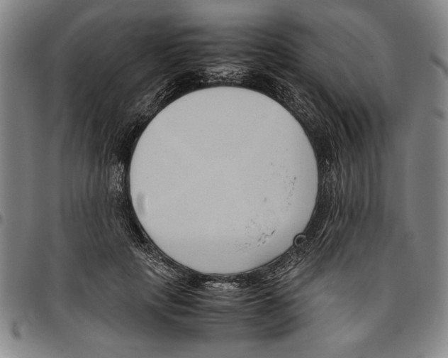 X0000096460649200802211127