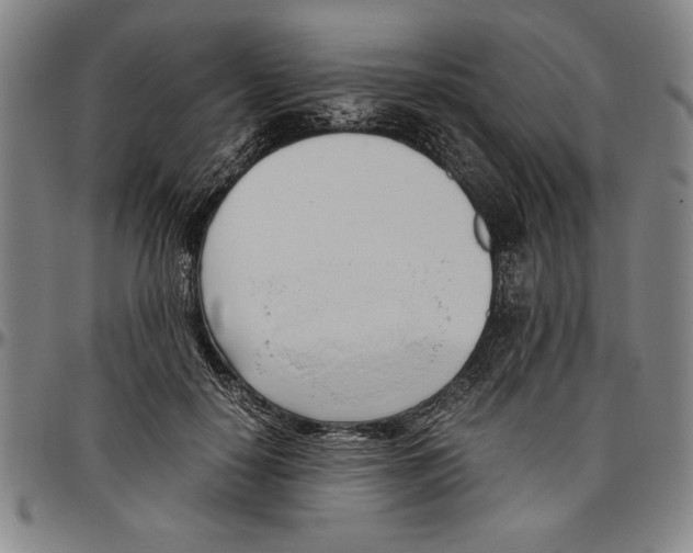X0000096460650200802211127