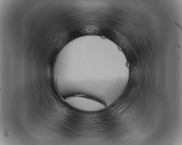 X0000096460651200802211127