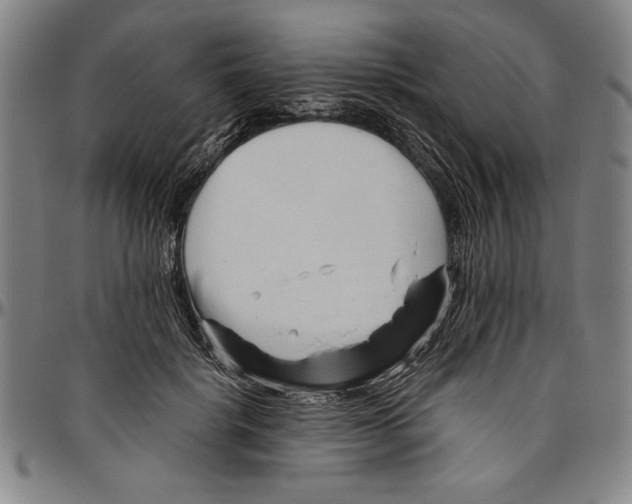 X0000096460652200802211127