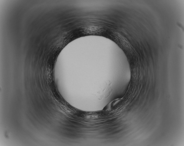 X0000096460653200802211127