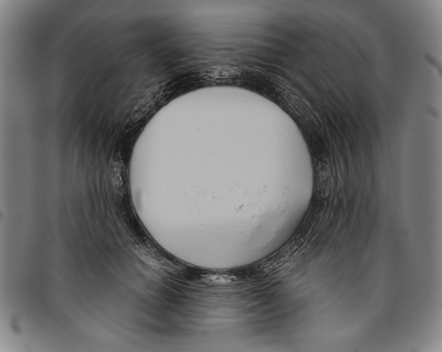 X0000096460654200802211127