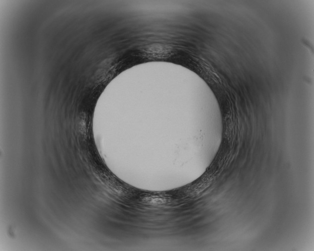 X0000096460655200802211127