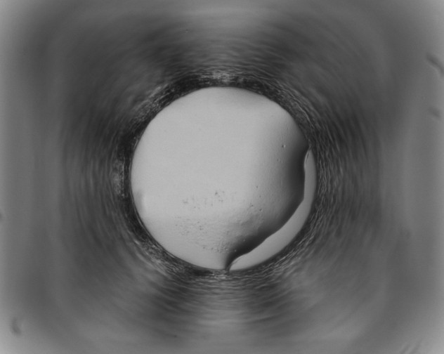 X0000096460656200802211127