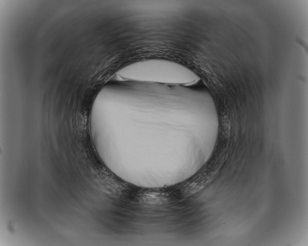 X0000096460657200802211127