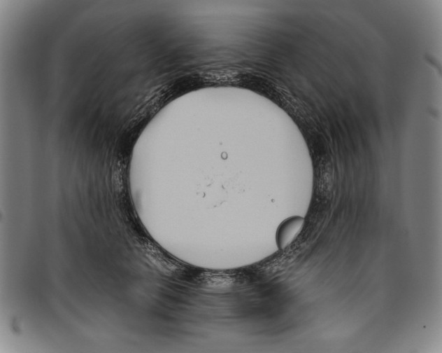 X0000096460658200802211127