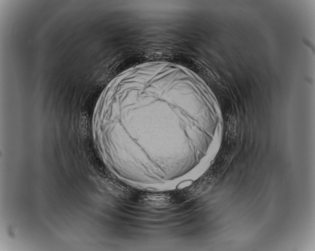X0000096460659200802211127