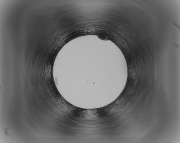 X0000096460660200802211127
