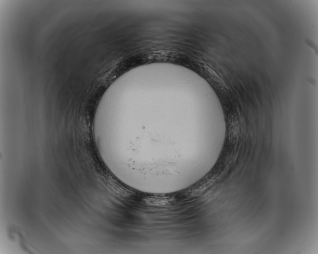 X0000096460661200802211127