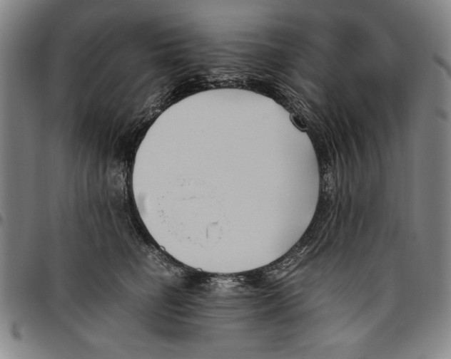 X0000096460662200802211127