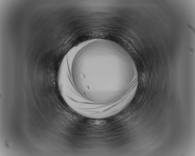 X0000096460663200802211127