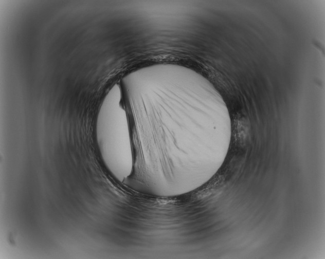 X0000096460664200802211127