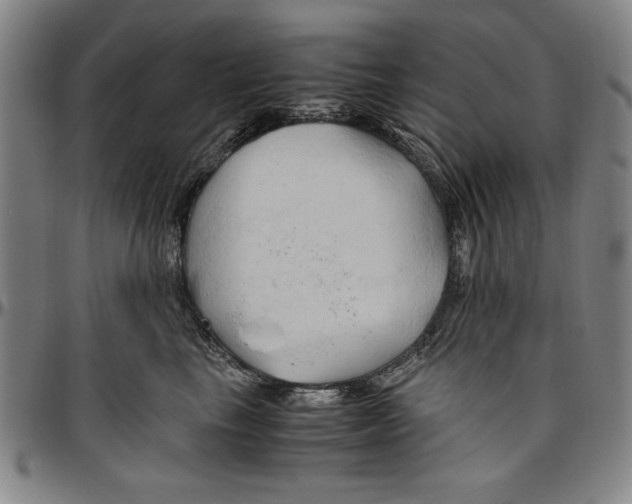X0000096460665200802211127