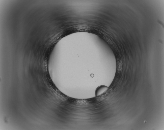 X0000096460666200802211127