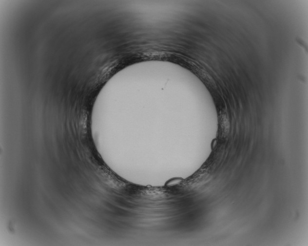 X0000096460668200802211127