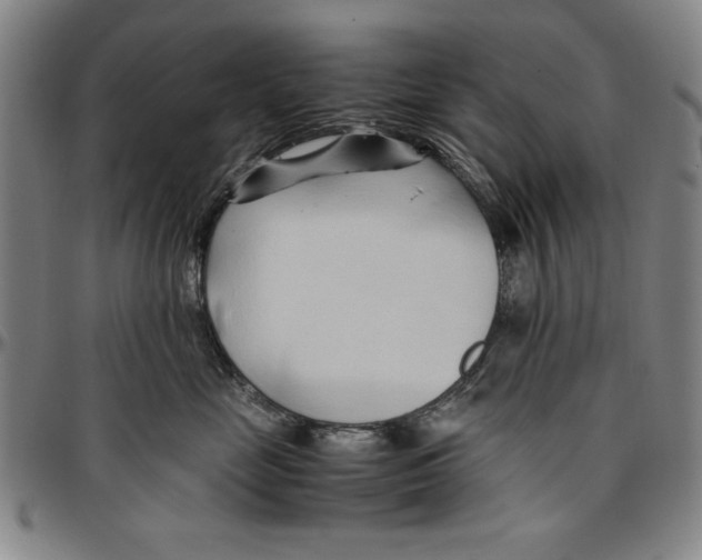 X0000096460669200802211127