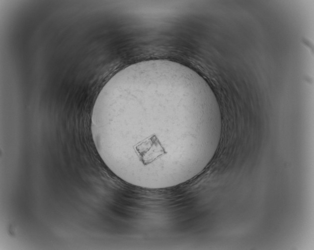 X0000096460672200802211127