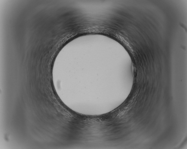 X0000096460673200802211127