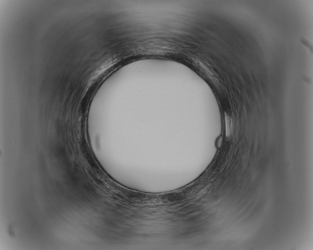 X0000096460675200802211127
