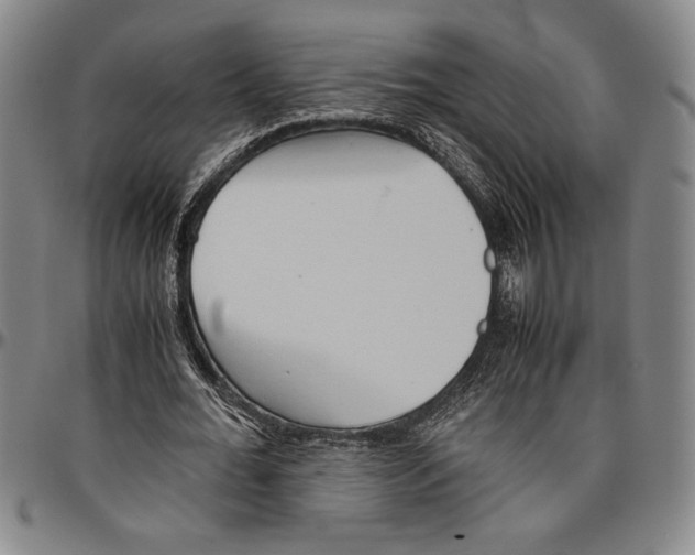 X0000096460676200802211127