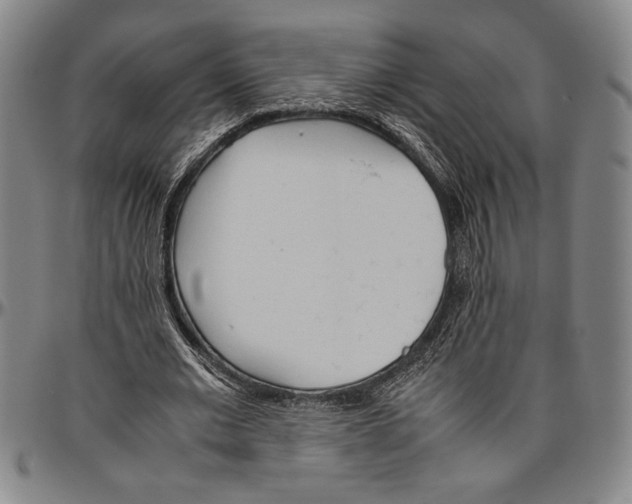 X0000096460677200802211127
