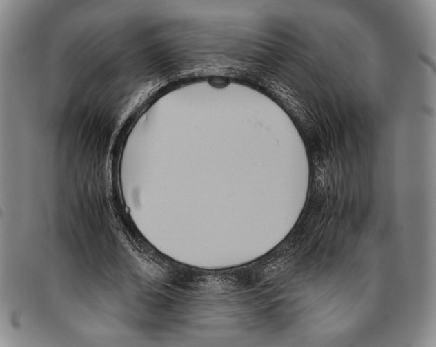 X0000096460678200802211127