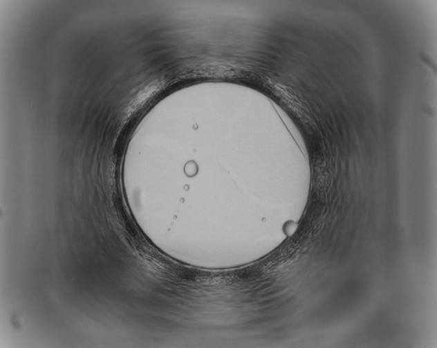 X0000096460679200802211127