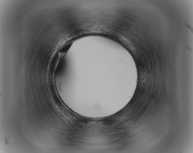 X0000096460680200802211127
