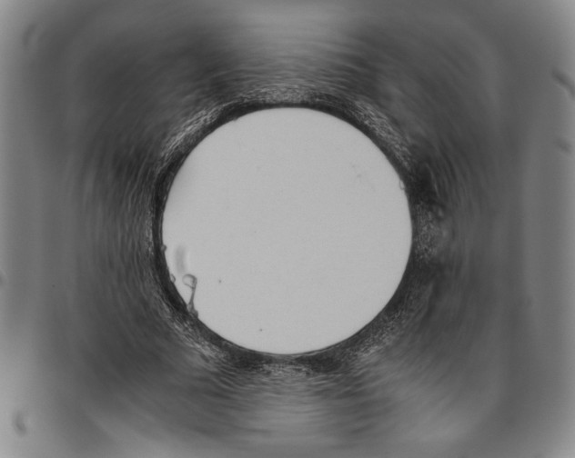 X0000096460681200802211127