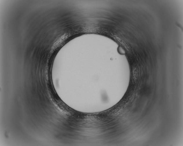 X0000096460682200802211127