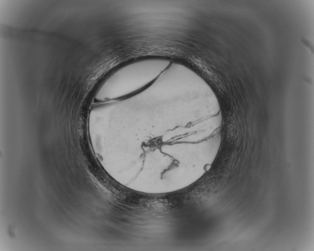X0000096460683200802211127