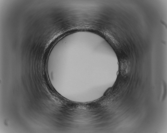 X0000096460684200802211127