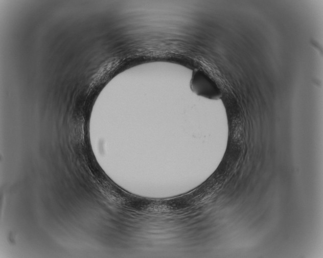 X0000096460685200802211127