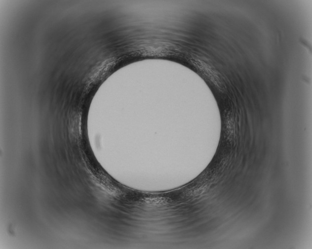 X0000096460686200802211126