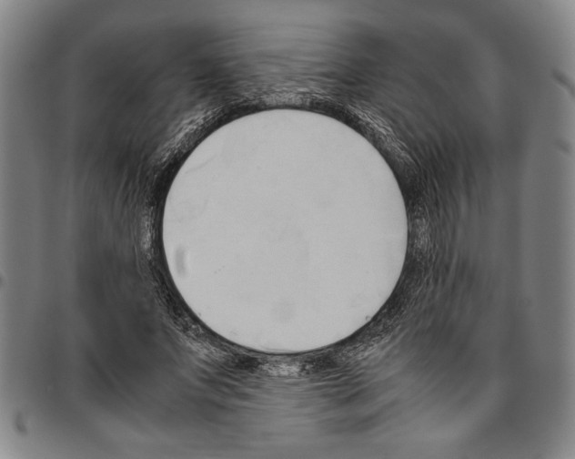 X0000096460687200802211126
