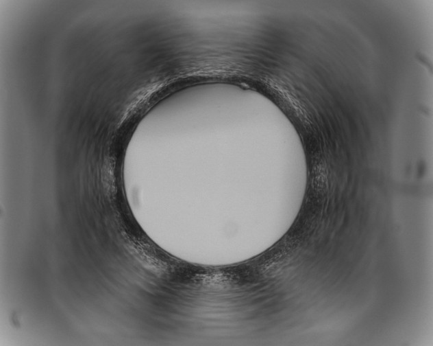 X0000096460688200802211126