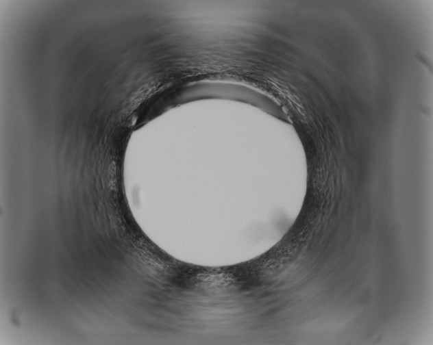 X0000096460689200802211126