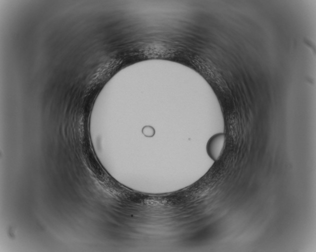 X0000096460690200802211126