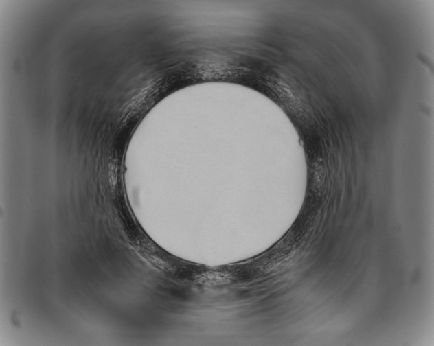 X0000096460691200802211126