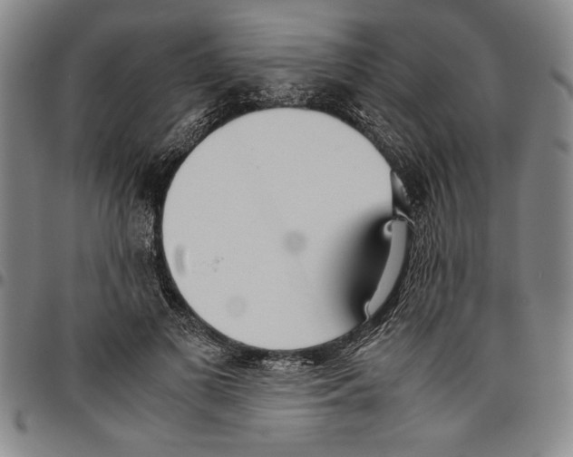 X0000096460693200802211126