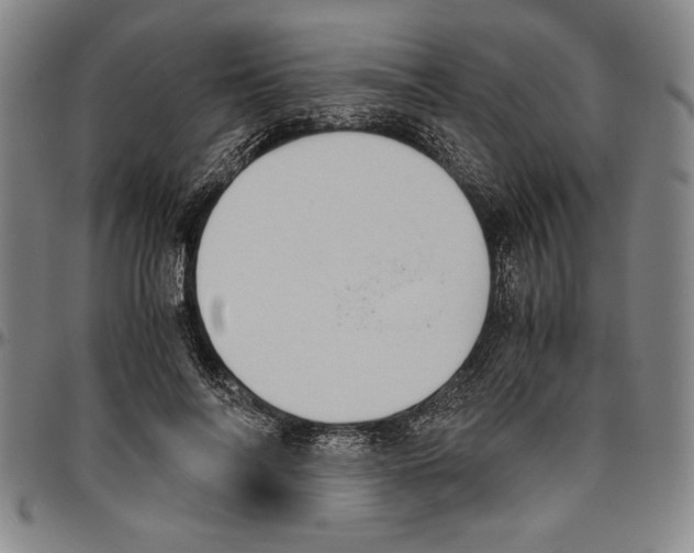 X0000096460694200802211126